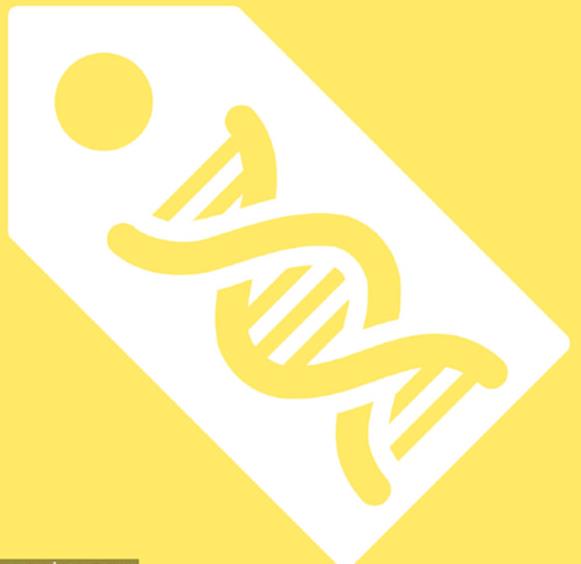 DM202-BioGold DNA MarkerⅠ(For PAGE)